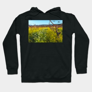 Spring at the Vineyard Hoodie